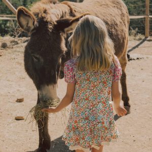 Smocked Frill Neck Blouse-Hotchpotch Floral