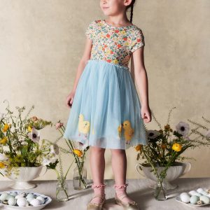 Ami Applique Tulle Dress-Pale Blue Chicks