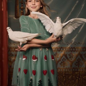 Velour Tulle Appliqu?? Dress-Robin Motif