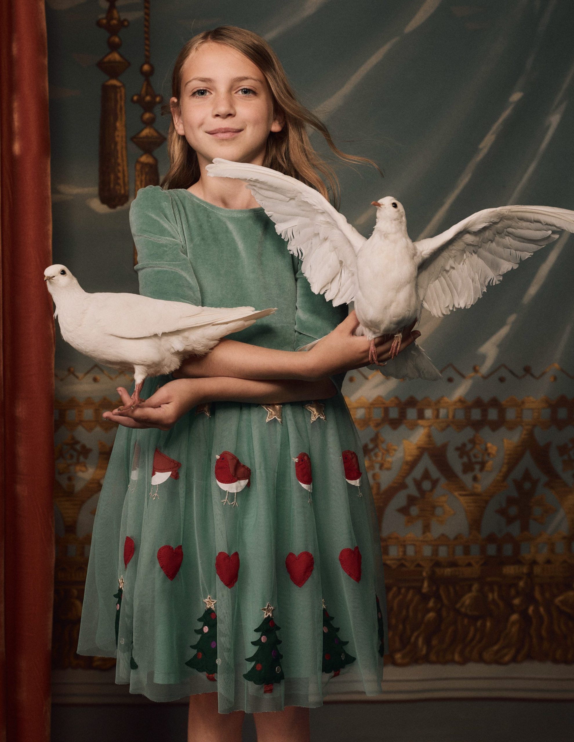 Velour Tulle Appliqu?? Dress-Robin Motif